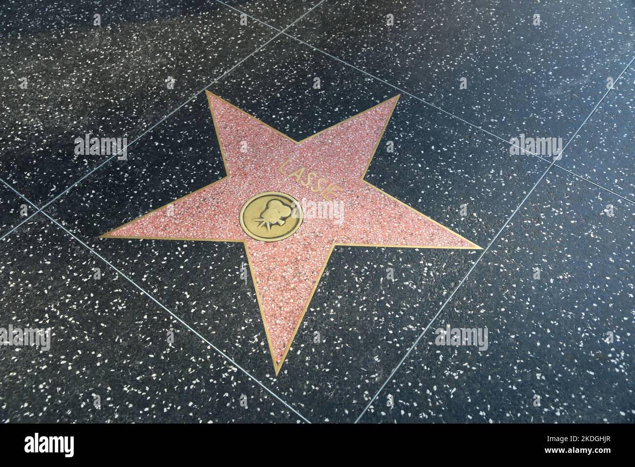Hollywood, Los Angeles, Kalifornien, USA - 04. NOVEMBER 2014: Star von Lassie, dem Hund auf dem Walk of Fame. Hollywood Boulevard Promi. Stockfoto