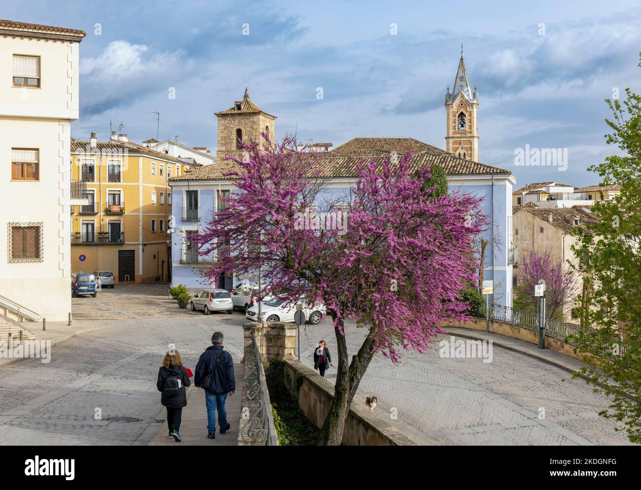 Cuenca, Provinz Cuenca, Kastilien-La Mancha, Spanien. Straßenszene im Frühling. Stockfoto