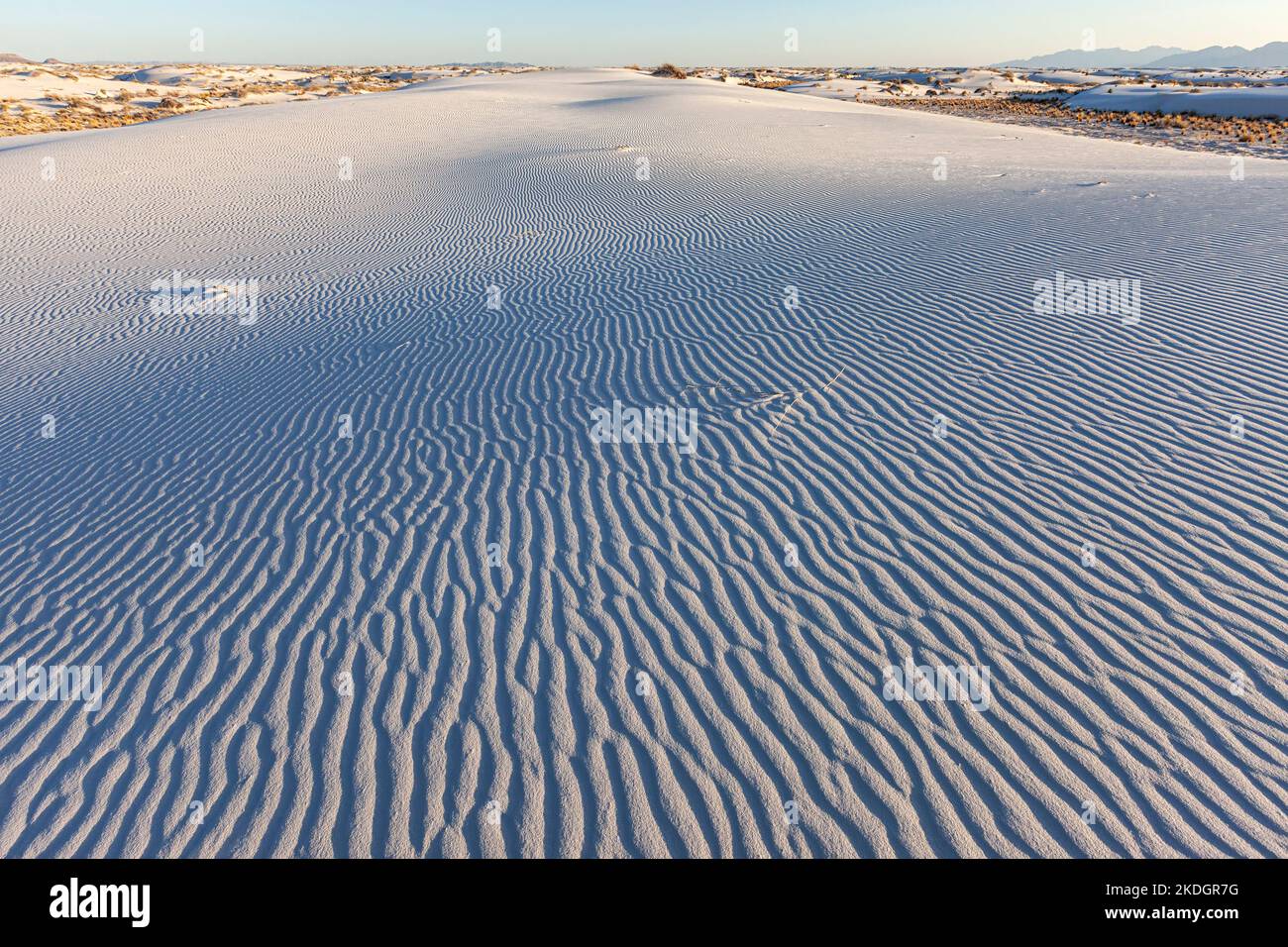 Endloser Sand, White Sands National Park, New Mexico, USA Stockfoto