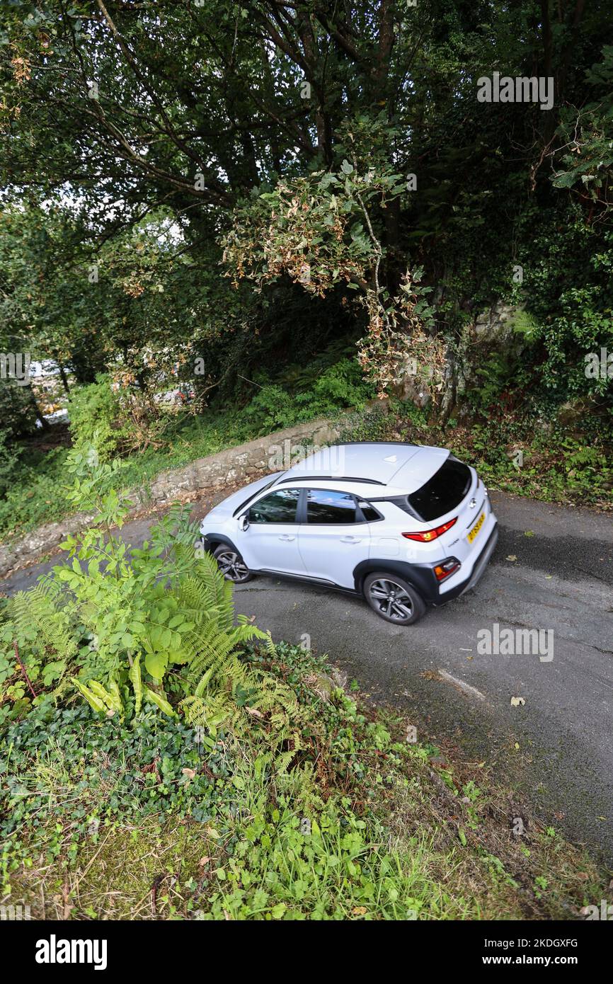 Die steilste Straße der Welt, in,Zentrum,von,Harlech,Gwynedd,County,Gwynedd County,Wales,Walisisch,anerkannt,von,Guinness Buch der Rekorde, Stockfoto