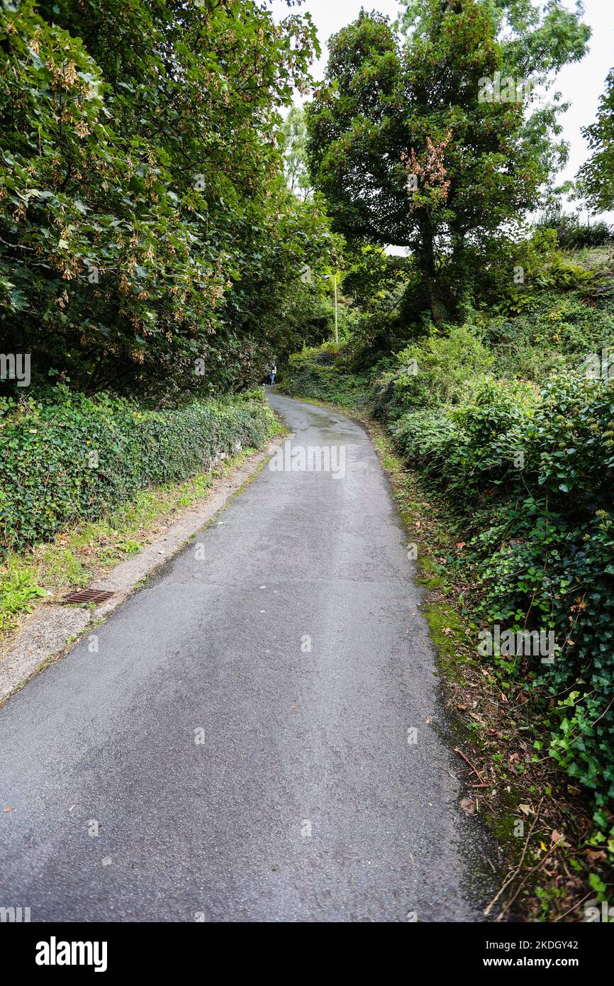 Die steilste Straße der Welt, in,Zentrum,von,Harlech,Gwynedd,County,Gwynedd County,Wales,Walisisch,anerkannt,von,Guinness Buch der Rekorde, Stockfoto