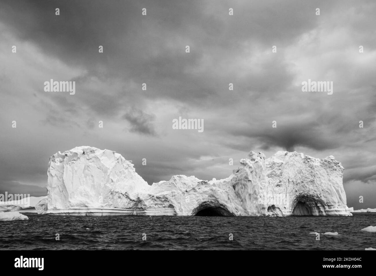 Ein Eisberg, der in der Antarktis schwimmt Stockfoto