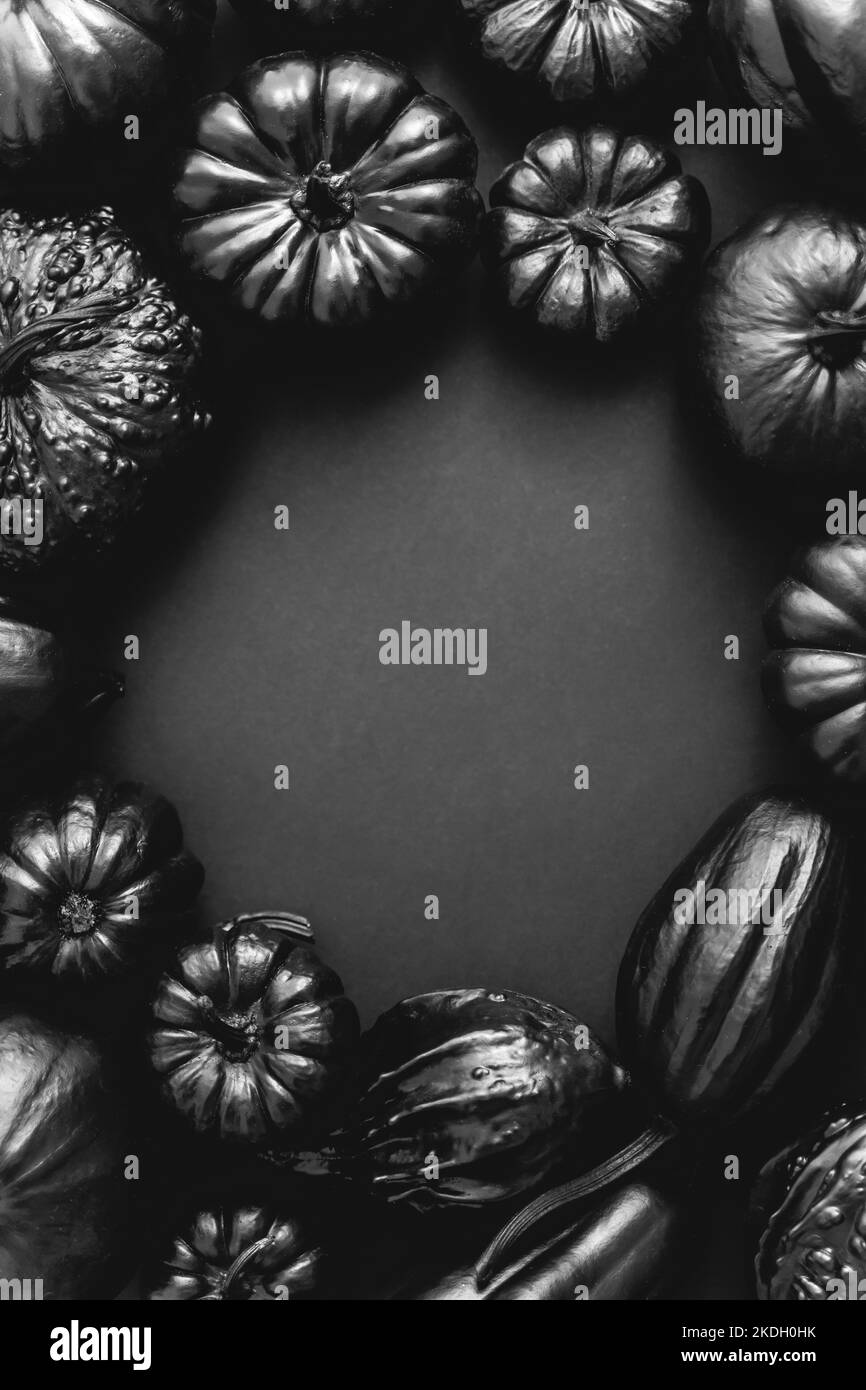 Runder Rahmen aus schwarzen Squashes Stockfoto