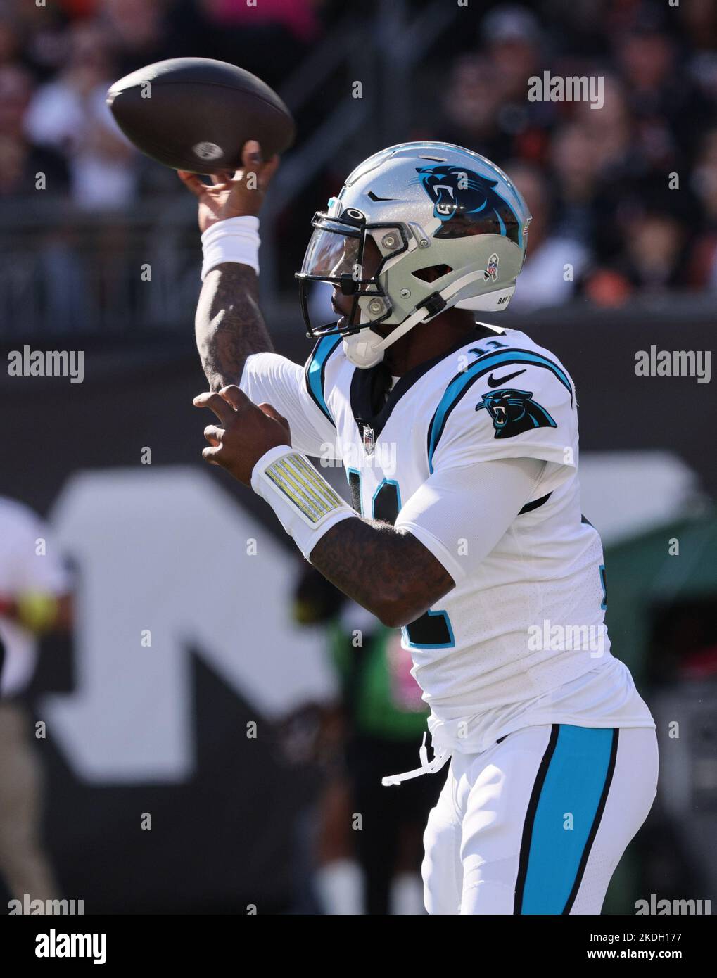 Cincinnati, Usa. 06.. November 2022. Carolina Panthers Quarterback PJ Walker (11) wirft in der ersten Spielhälfte im Paycor Stadium am Sonntag, den 6. November 2022 in Cincinnati unter Druck der Verteidigung der Cincinnati Bengals. Ohio Foto von John Sommers II/UPI Kredit: UPI/Alamy Live News Stockfoto