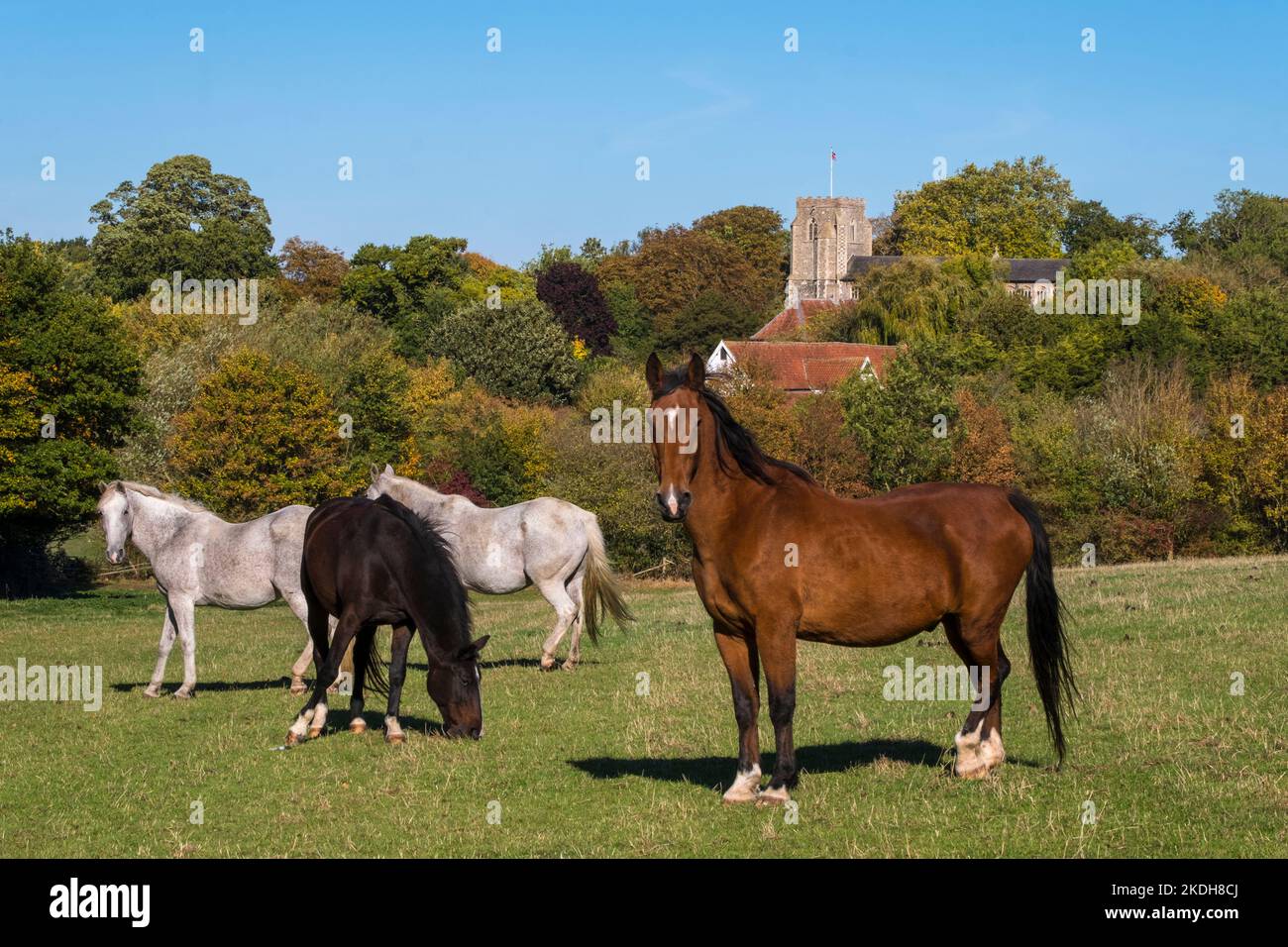 St Andrew's Church, Wingfield, Suffolk, Großbritannien. Stockfoto