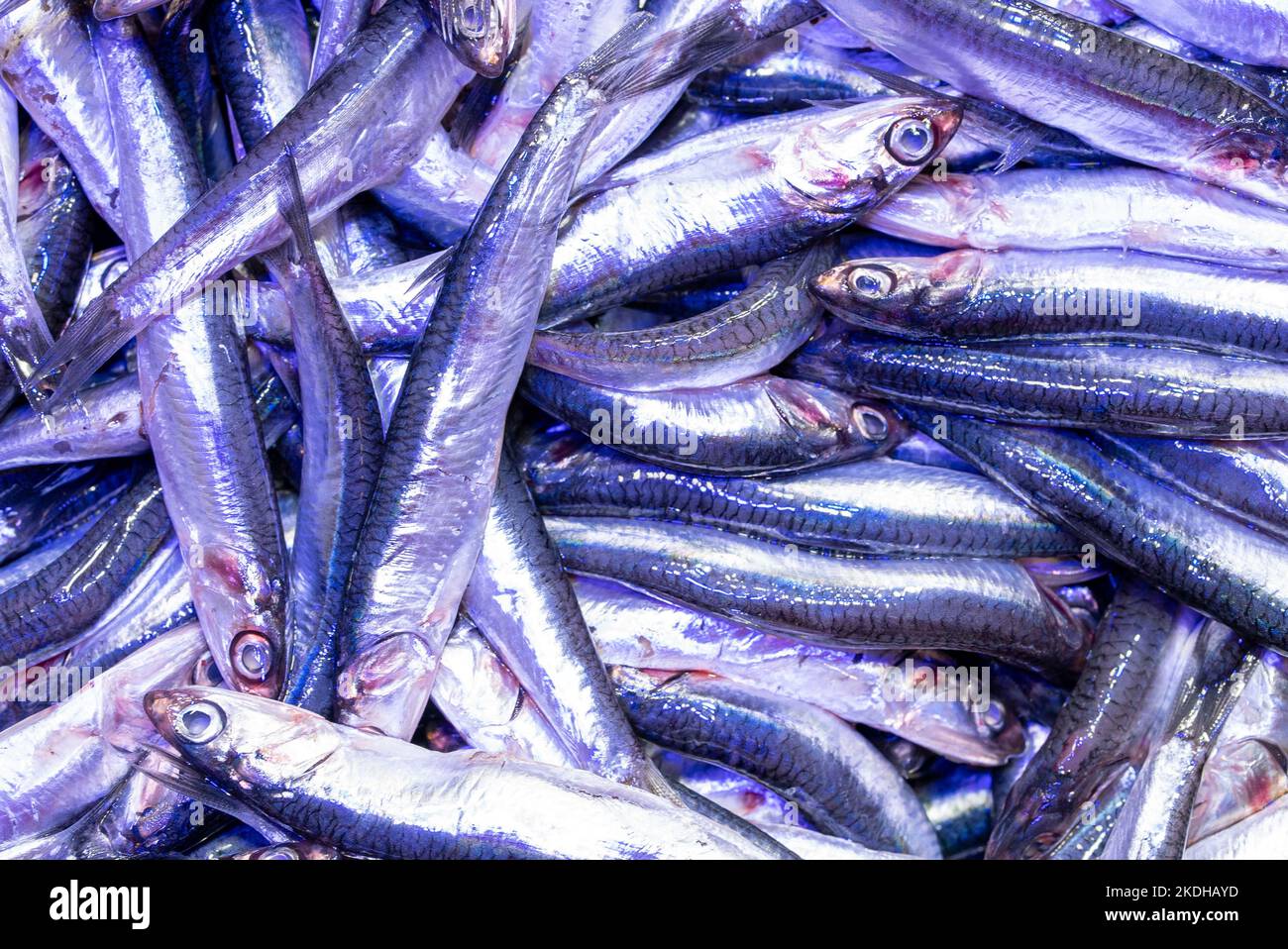 Alle Frische Sardine In Lokalen Frischmarkt Istanbul Türkei Stockfoto