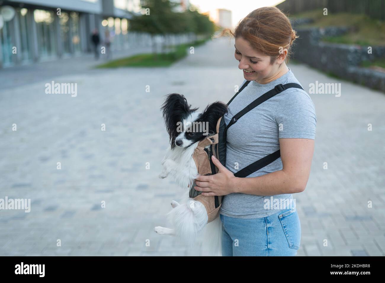 Glückliche kaukasische Frau, die mit einem Hund in einem Rucksack läuft. Papillon Spaniel Continental in einer Schlinge. Stockfoto