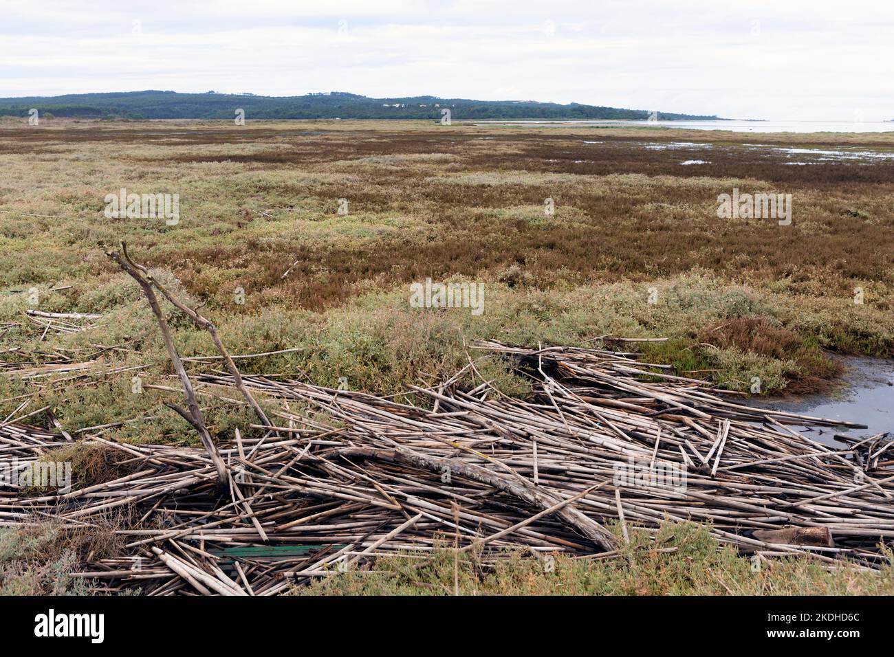 Europa, Portugal, Region Oeste, Sumpfgebiet und Vogelschutzgebiet in Lagoa de Óbidos Stockfoto