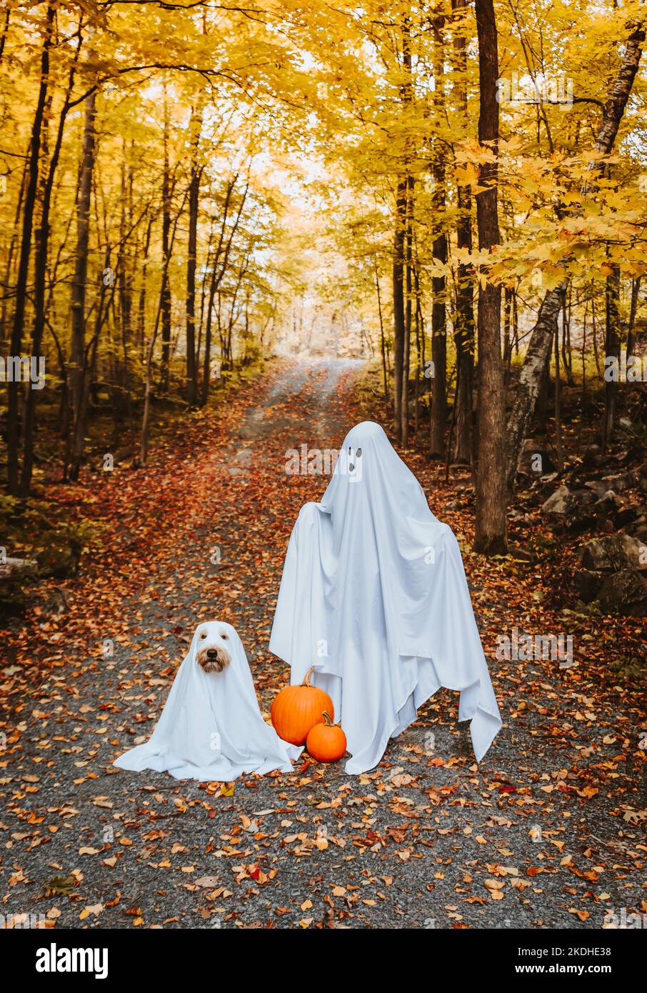 Kinder und Hunde in Geisterkostümen für Hallowe'en draußen. Stockfoto