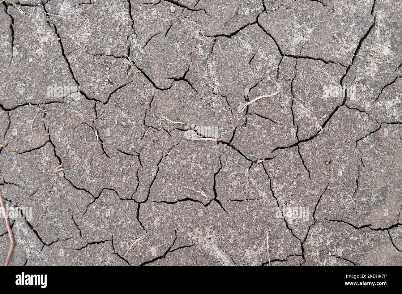 Dehydratationsverlust der Erdoberfläche. Konzept der globalen Umweltprobleme. Kann als grauer abstrakter Hintergrund mit Kopierraum verwendet werden. Stockfoto