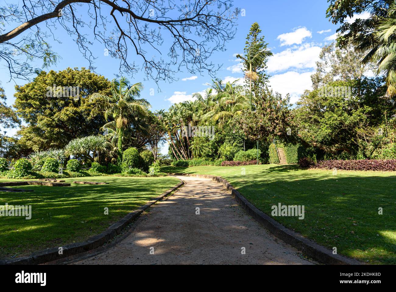 Ein Fußweg, der durch die Wiesen und Bäume des McKell Park am Darling Point im Hafen von Sydney führt Stockfoto