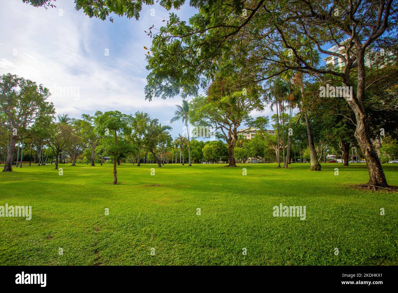 Der Bicentennial Park, auch Esplanade genannt, ist eine große Parklandschaft im Stadtzentrum von Darwin. Stockfoto