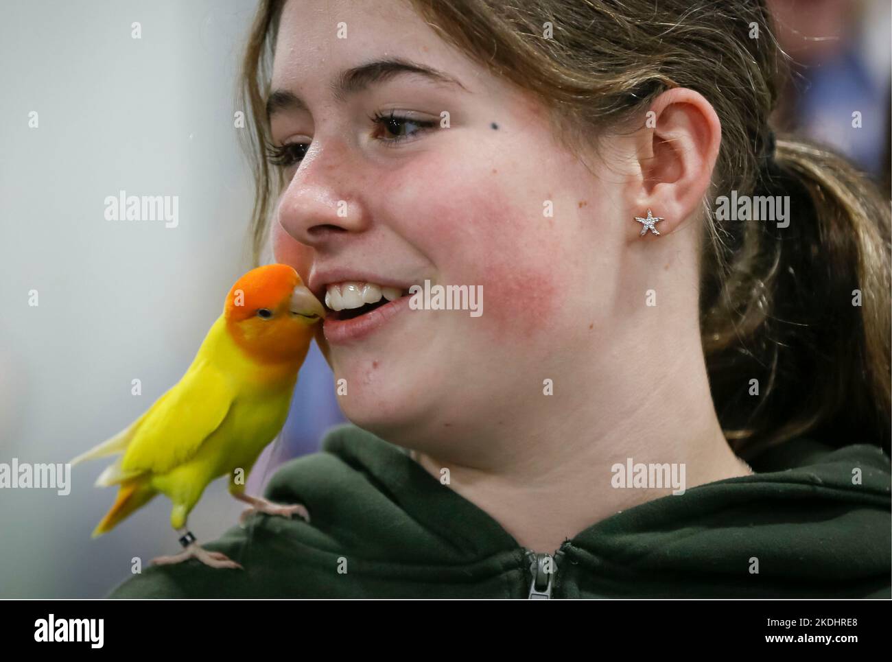 Vancouver, Kanada. 6.. November 2022. Ein Mädchen interagiert mit einem Vogel während der Pet Lover Show im Pacific Coliseum in Vancouver, British Columbia, Kanada, am 6. November 2022. Quelle: Liang Sen/Xinhua/Alamy Live News Stockfoto