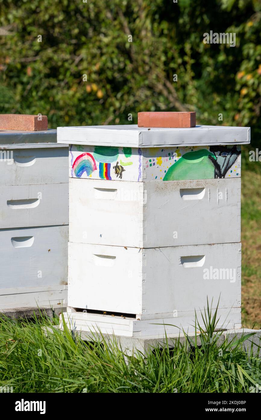 Chimacum, Washington, USA. Langstroth Bienenstöcke in einer Reihe in einer ländlichen Umgebung, mit bunten Kinderkunstwerken auf ihnen. Stockfoto