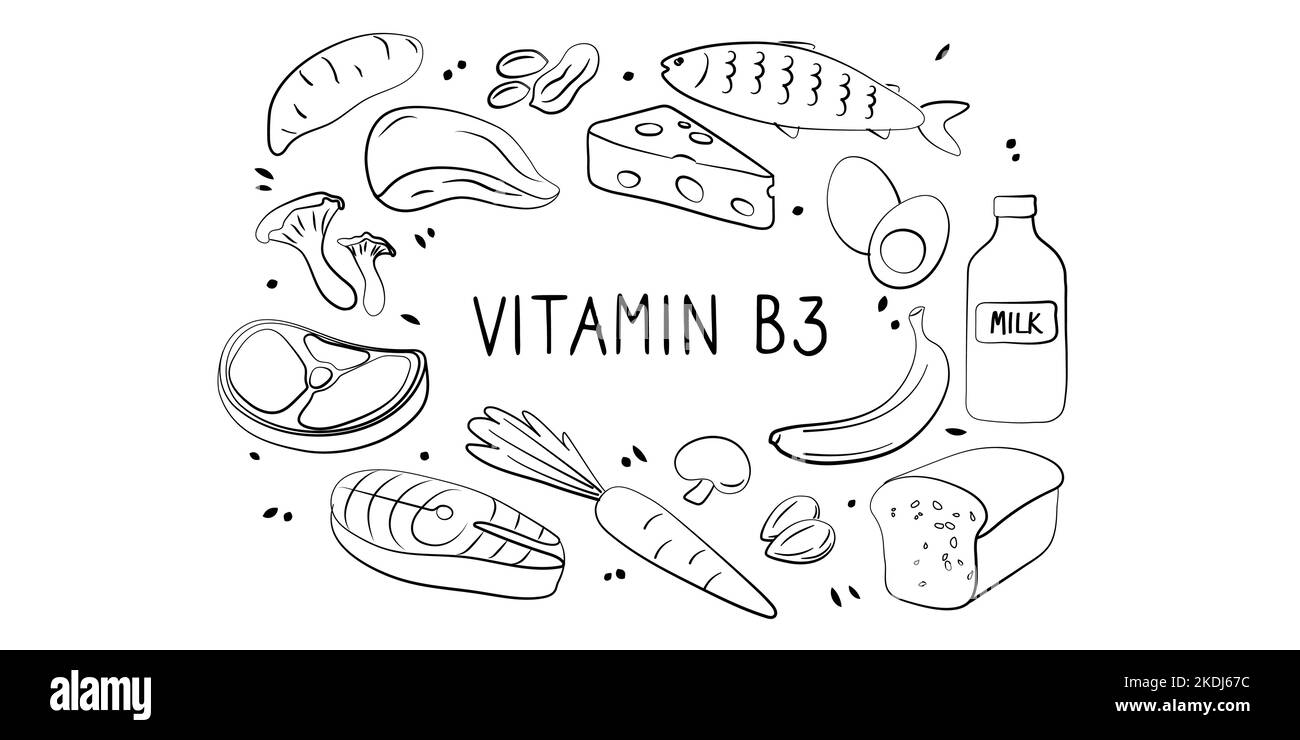 Vitamin B3 Niacinamid Vitamin PP Niacin Nicotinamid. Gruppen von