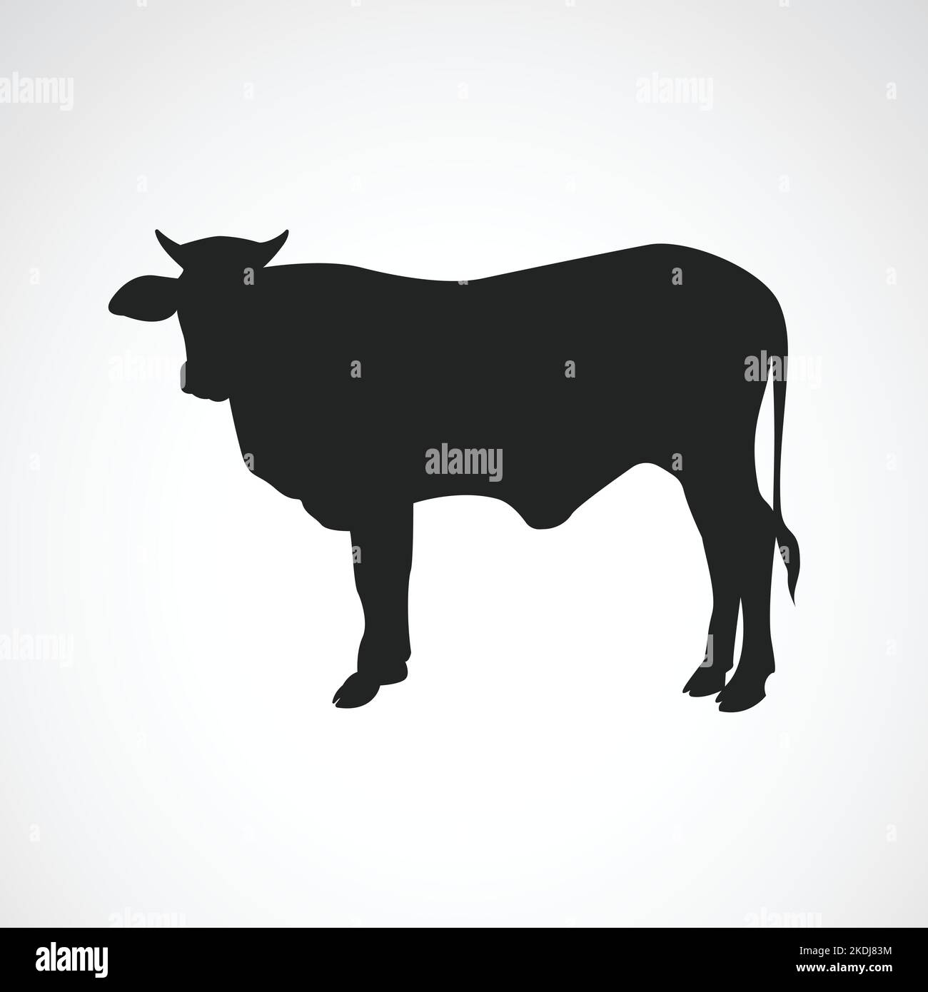 Vektorbilder der Kuh Silhouette auf weißem Hintergrund. Leicht editierbare Vektorgrafik mit Ebenen. Wilde Tiere. Stock Vektor
