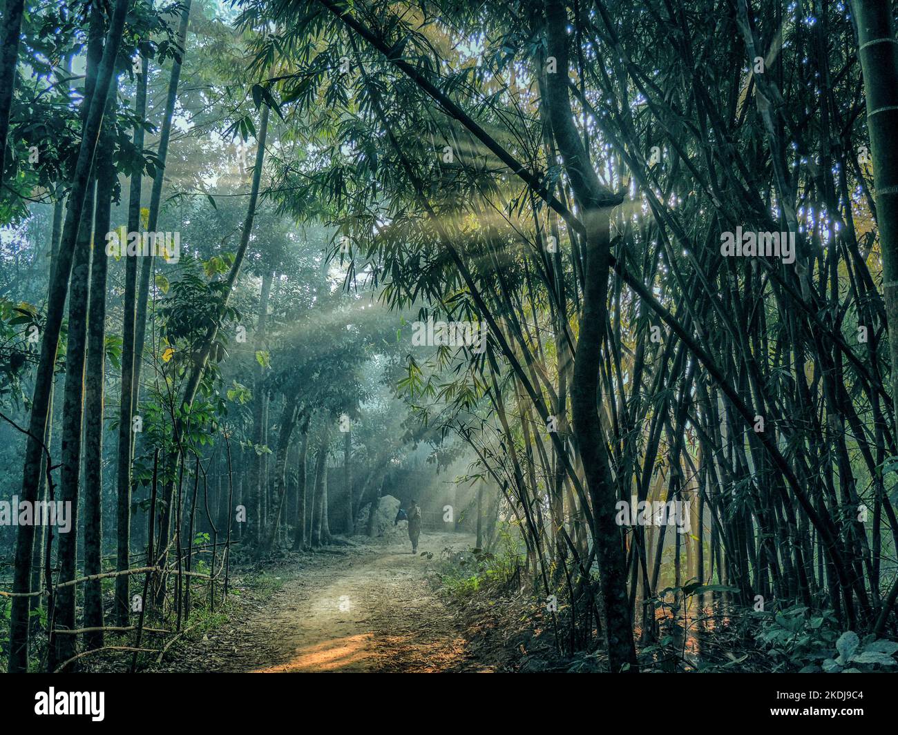 Morning Sunrise, Ich habe dieses Foto von Muktagacha, Mymensing an einem Wintermorgen gemacht. Stockfoto