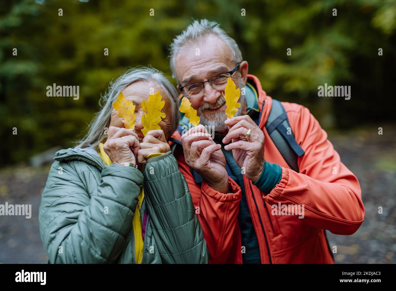 Porträt eines glücklichen älteren Paares mit Herbstblättern im Wald. Stockfoto