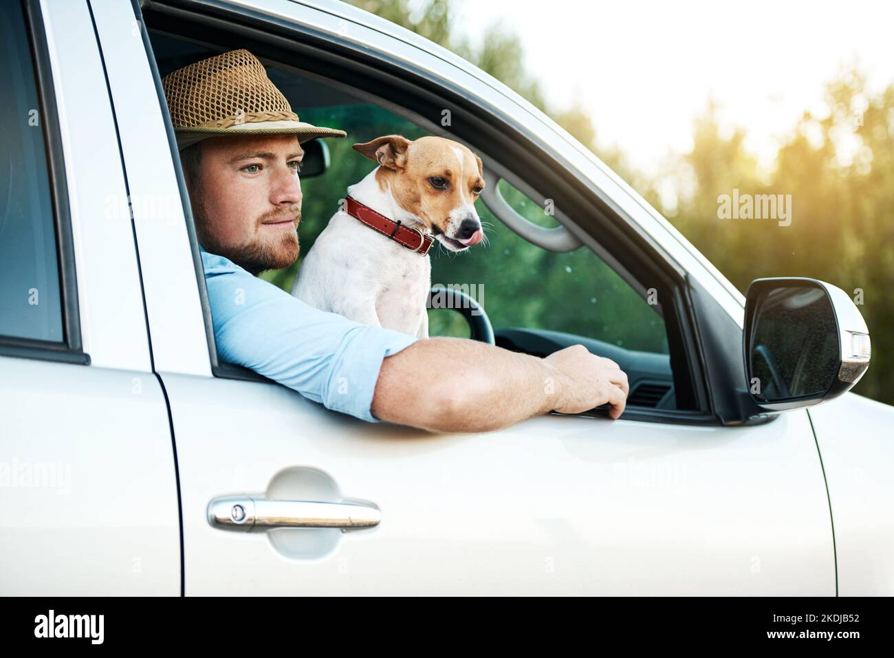 Nur zwei Kumpels auf einer Fahrt. Ein Mann und sein Hund fahren auf dem Land. Stockfoto