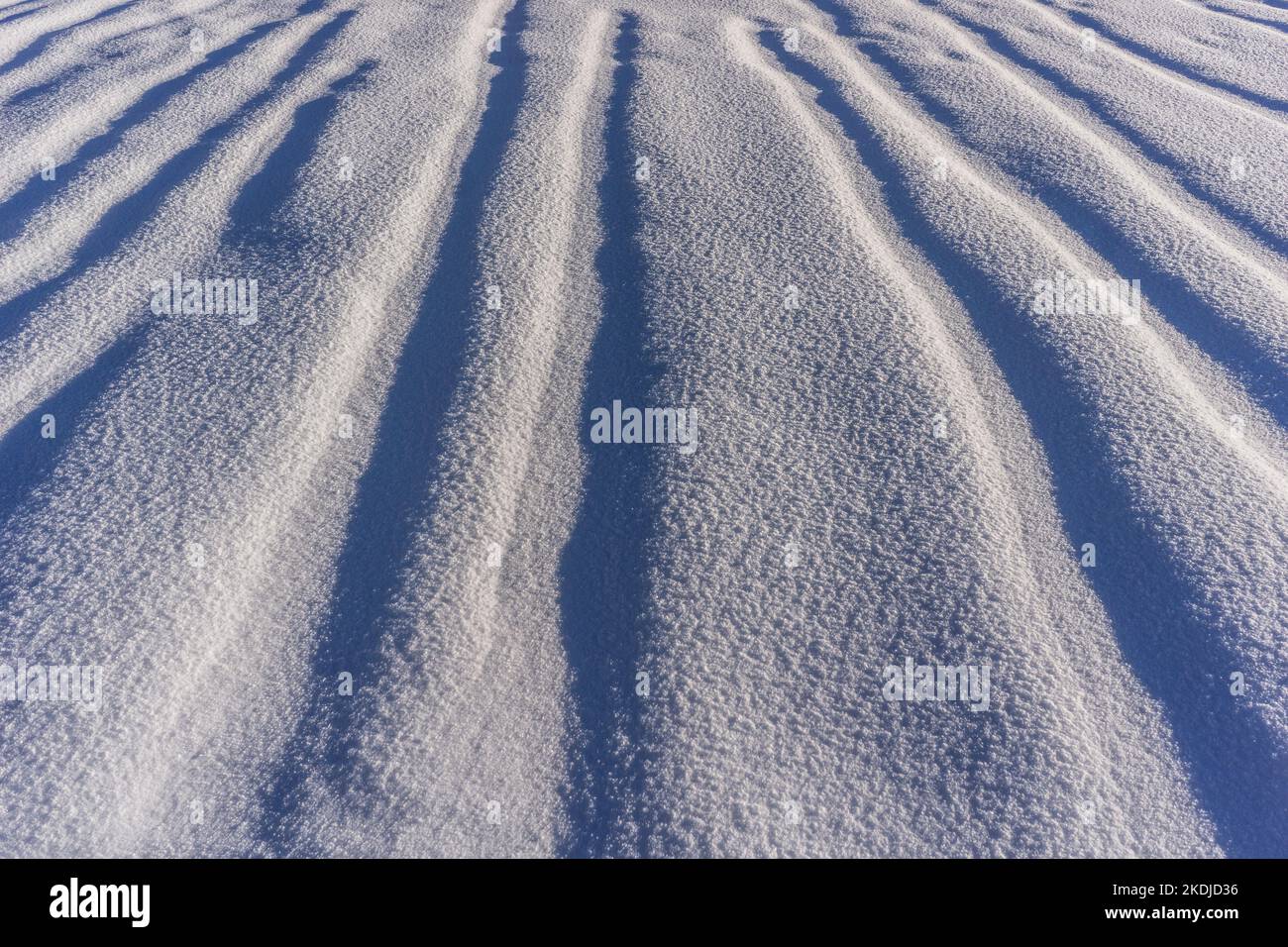 Linien im Schnee mit Sonne und Schatten Stockfoto