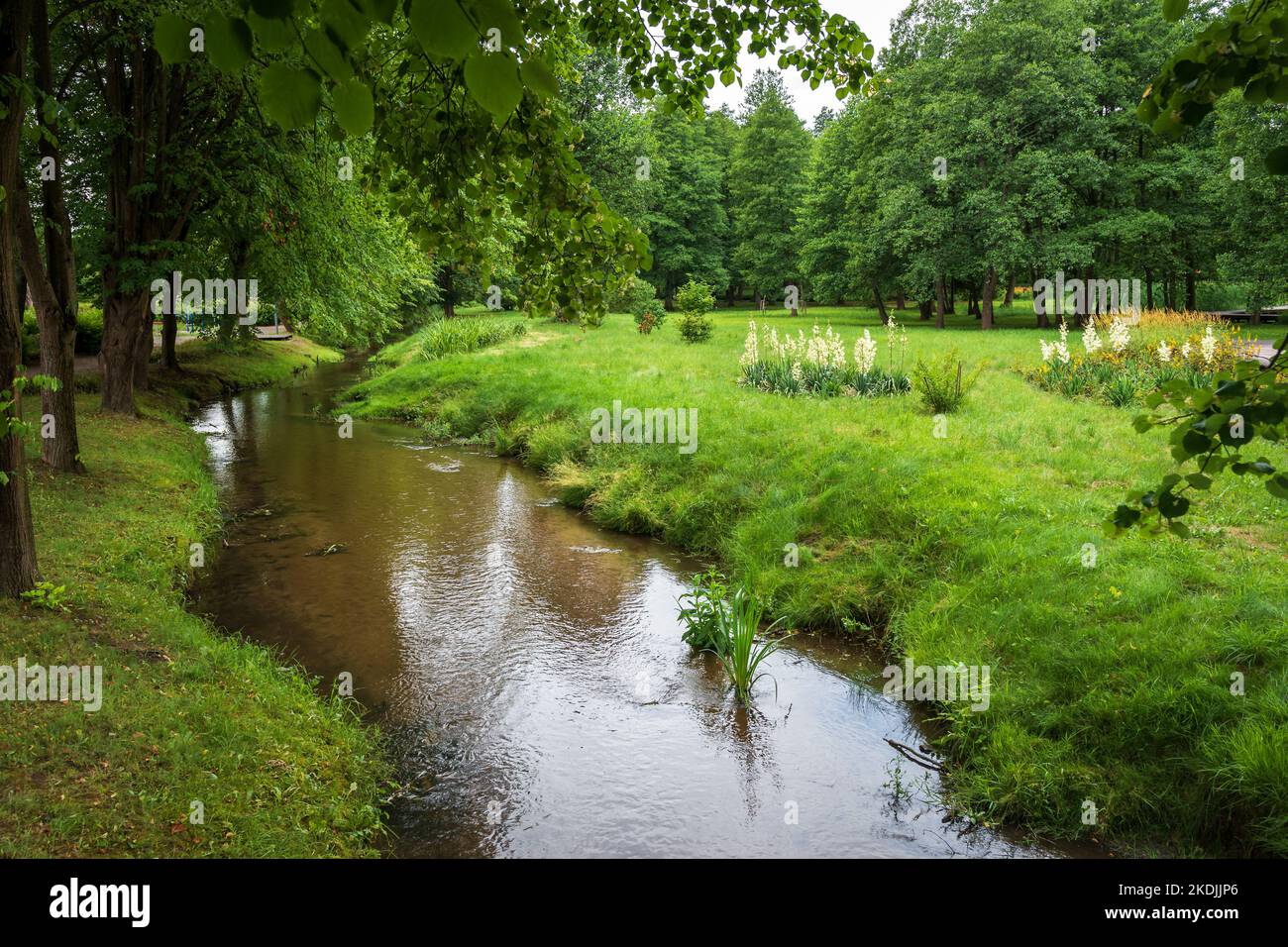 Ein charmanter Fluss mit einem sandigen Grund, der durch den Kurpark in Horyniec-Zdrój fließt Stockfoto