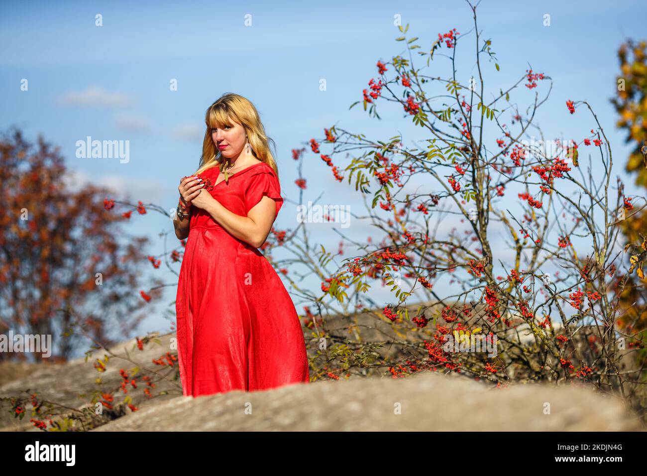 Mädchen in rotem Kleid auf Stein oder Beton ruiniert Struktur mit Eberesche auf Herbst Hintergrund Stockfoto