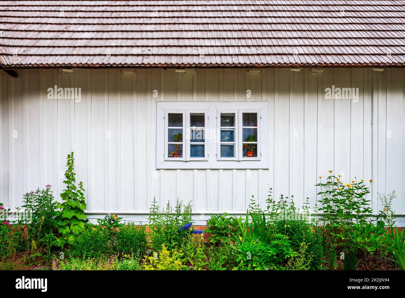 Vorderansicht der Fassade des alten Hauses. Weiß lackierte Bretter und ein Schinddach. Wunderschöner kleiner Garten Stockfoto