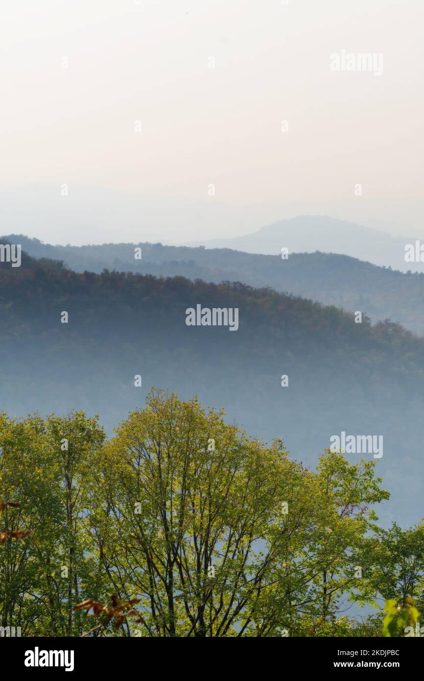 Herbstliche, farbige Vordächer aus Buche und trübe Hügelschichten im Hintergrund. Landschaften, Jahreszeiten, Umwelt- und Klimakonzepte Stockfoto