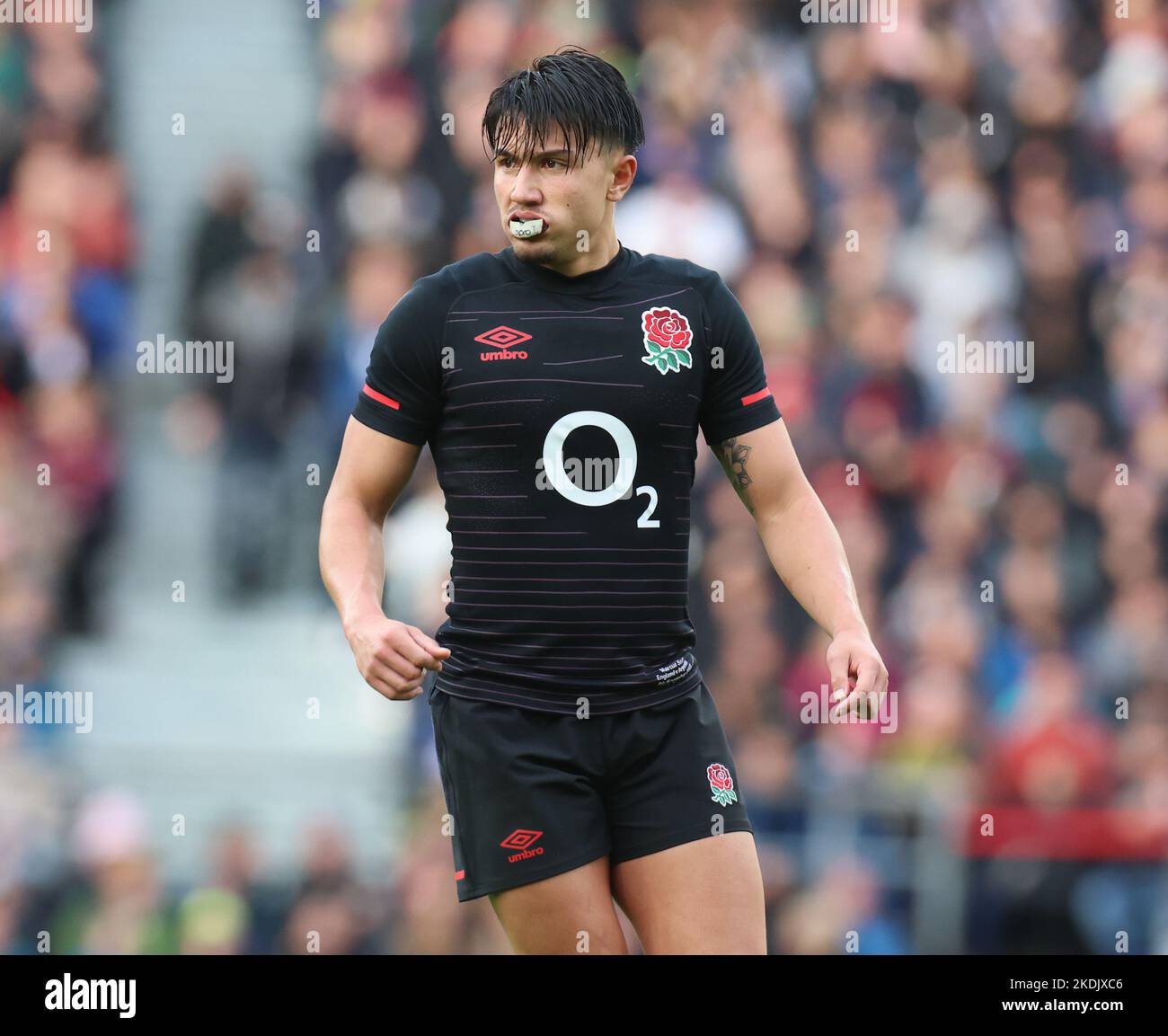 London ENGLAND - 06. November: Der Engländer Marcus Smith beim Spiel der Autumn International Series zwischen England und Argentinien im Twickenham Stadion, Stockfoto