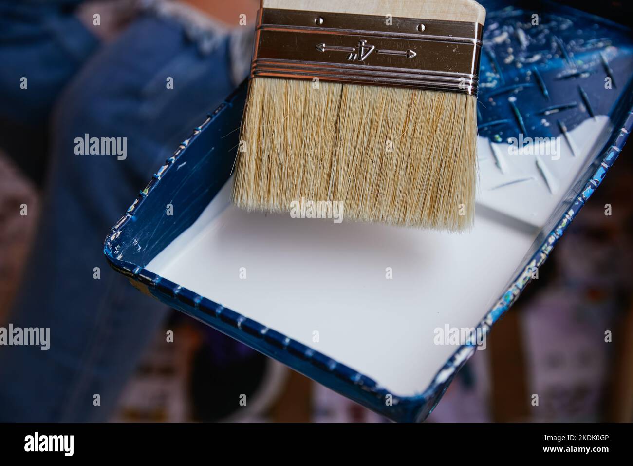 Nahaufnahme unkenntlich Frauen Hände mit lila Handschuhe, die Farbe mit einem Pinsel in einem Tablett Reformen Stockfoto