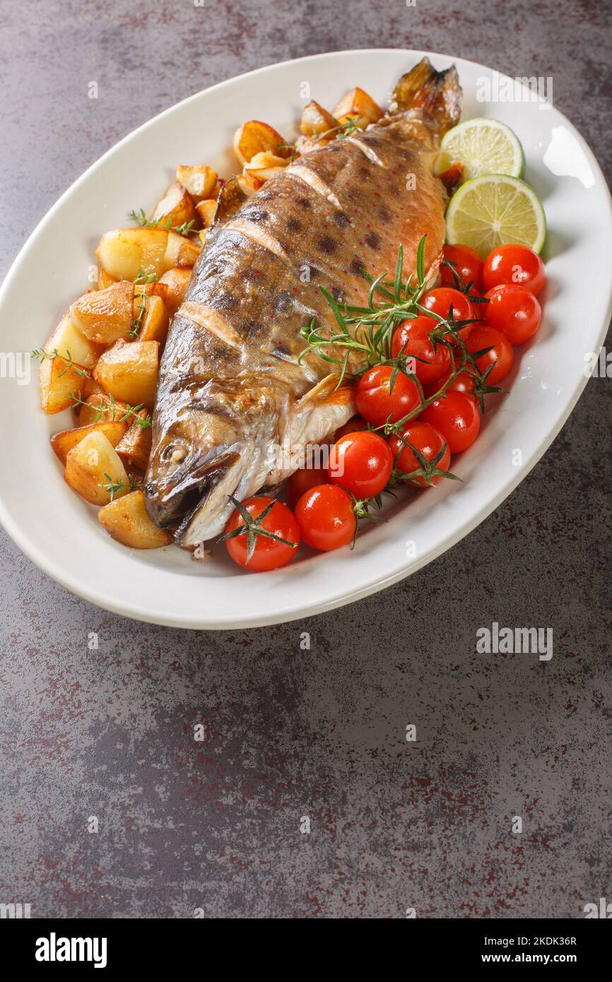 Würzig gebackener Arctic Char Fisch mit sautierten Kartoffeln und Tomate in der Nähe auf dem weißen Gericht auf dem Tisch. Vertikal Stockfoto