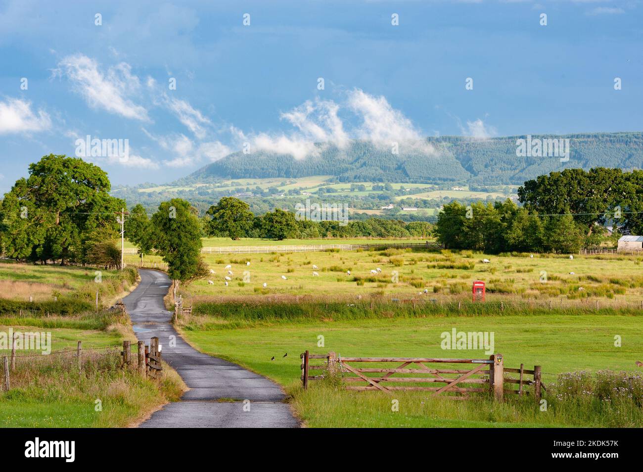 Blick auf den Longridge Fell von Dinkling Green, Whitewell, Clitheroe, Lancashire, Großbritannien Stockfoto