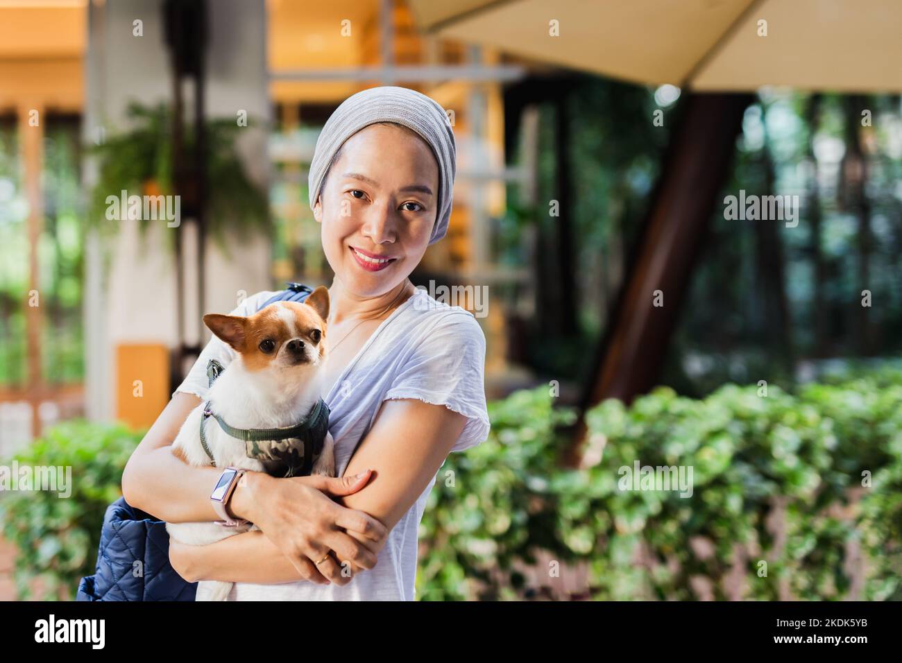 Schöne Frau hält Chihuahua Hund im Garten draußen. Stockfoto
