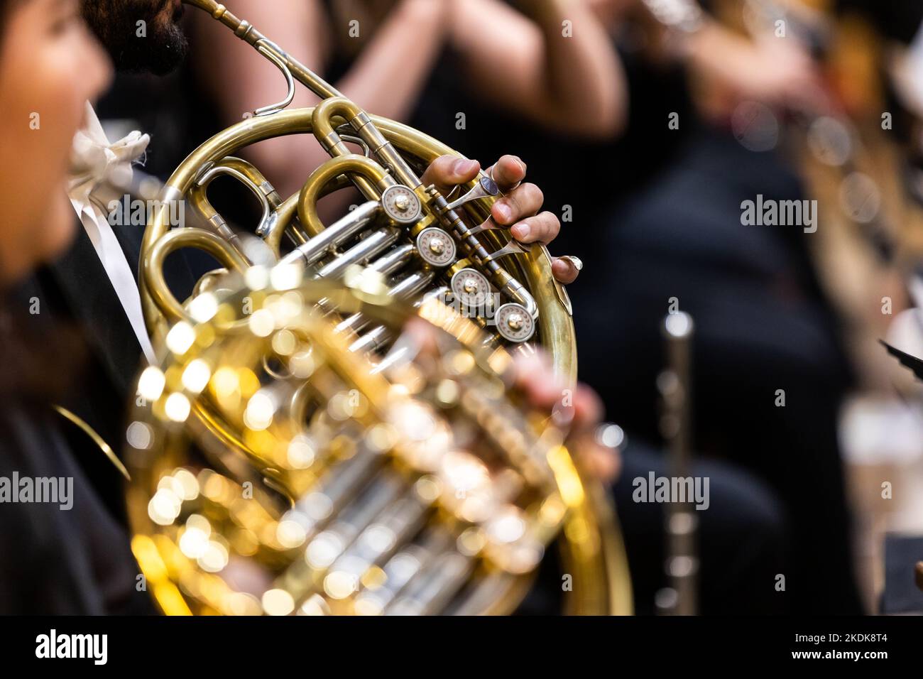Philharmonisches Orchester, Musiker, der während des Konzerts auf dem französischen Horn spielt, Kulturveranstaltung Stockfoto