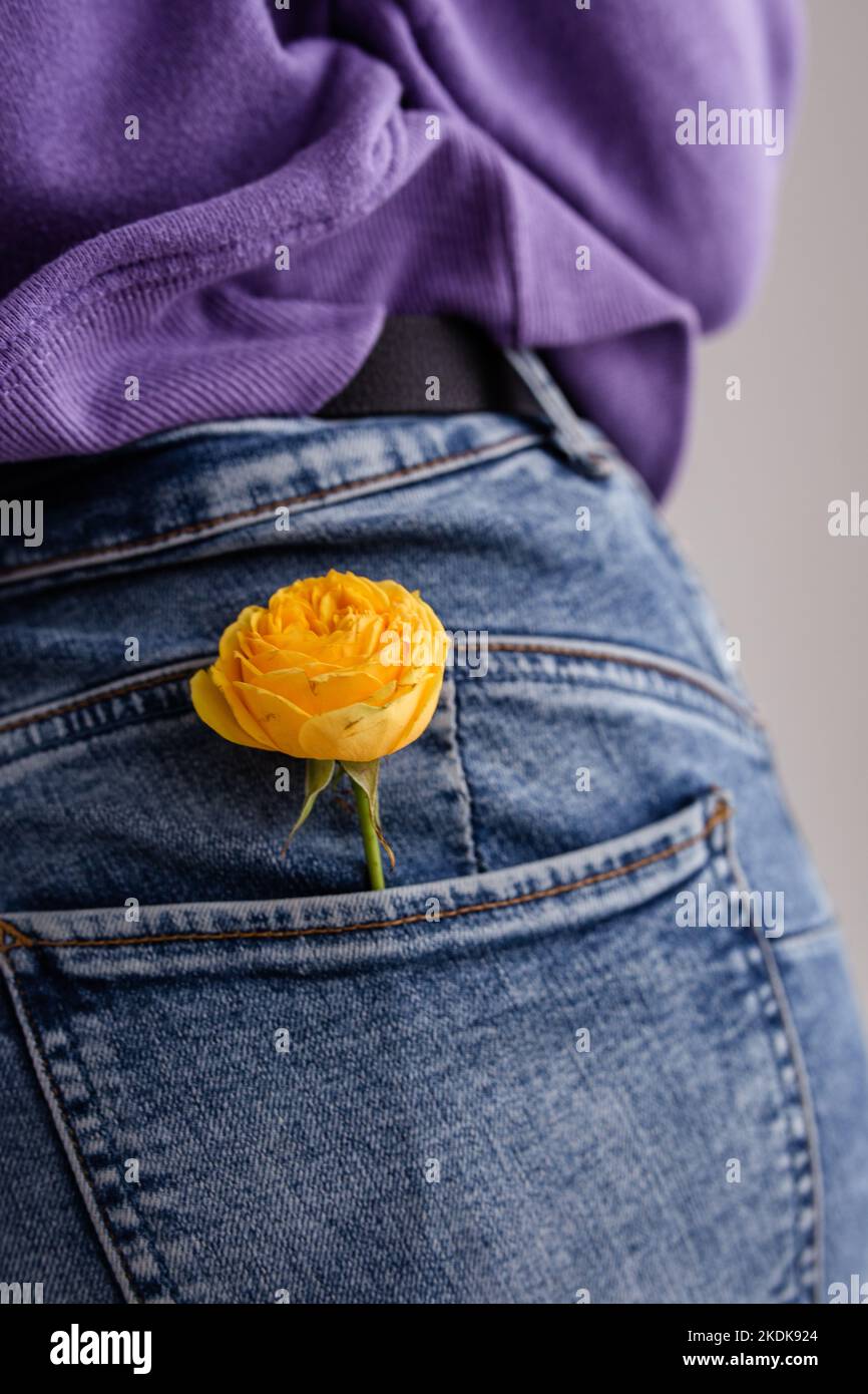 Gelbe Rose in der Tasche der Damenjeans. Frühjahrskonzept Stockfoto
