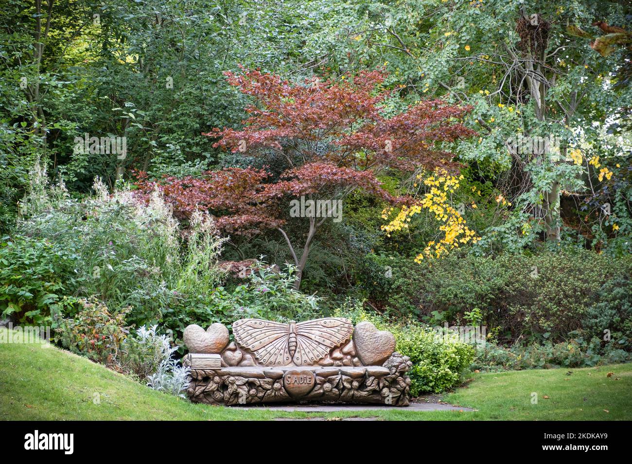 KNARESBOROUGH, Großbritannien - 20. September 2022. Geschnitzte Holzbank in Bebra Gardens, einem Landschaftspark in Knaresborough, Yorkshire, Großbritannien Stockfoto