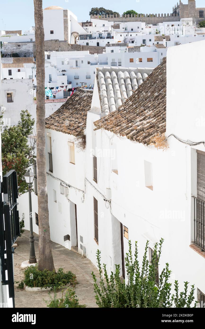 Kleine Straße mit weiß getünchten Häusern in der malerischen Stadt Vejer De La Frontera, Andalusien, Spanien. Stockfoto