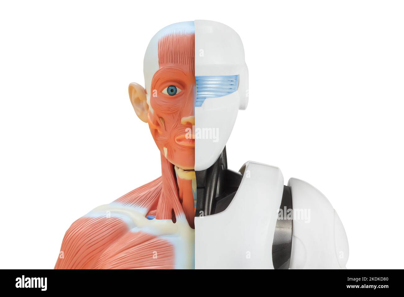 Konzept eines halben Menschen Halbroboter Cyborg Person Stockfoto