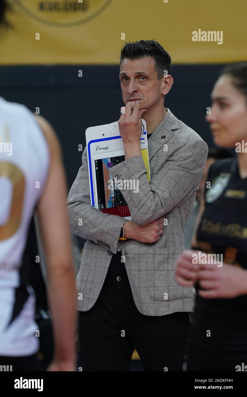 Gozal qizlar va mushuk porno