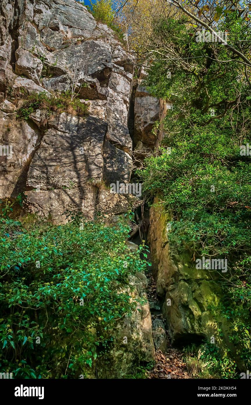 Hohe Kalksteinklippen, teilweise bequert, mit einem tiefen und schmalen Tagebau auf einer Ader aus dem Bleibergbau in Middleton Dale, Stoney Middleton, Peak District. Stockfoto