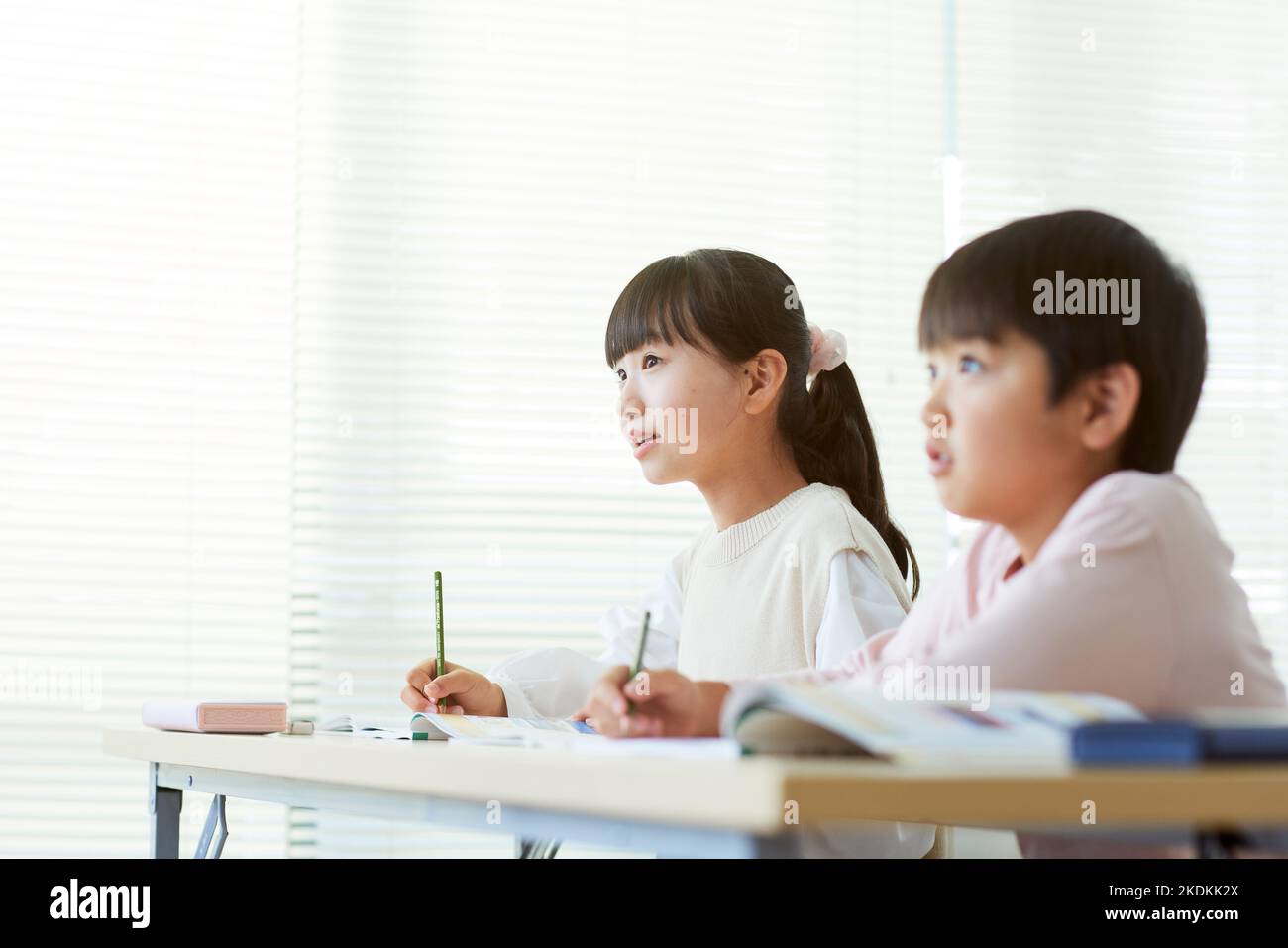 Japanische Kinder studieren Stockfoto