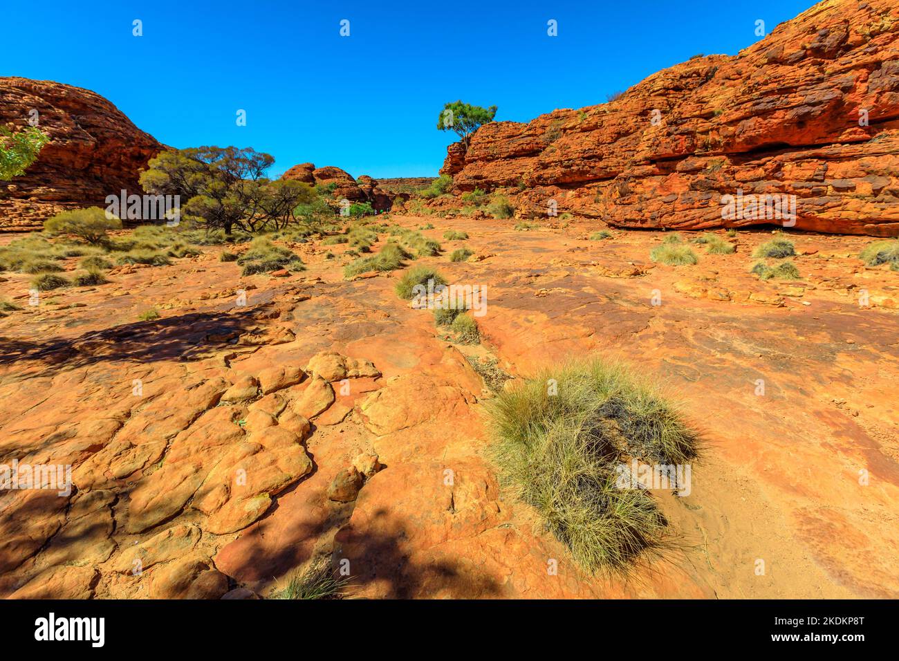 Die malerischen Sandsteinkuppen, die Lost City genannt werden, befinden sich am Anfang des Kings Canyon Rim im Watarrka National Park, Zentralaustralien. Kultige Attraktion Platz in Stockfoto