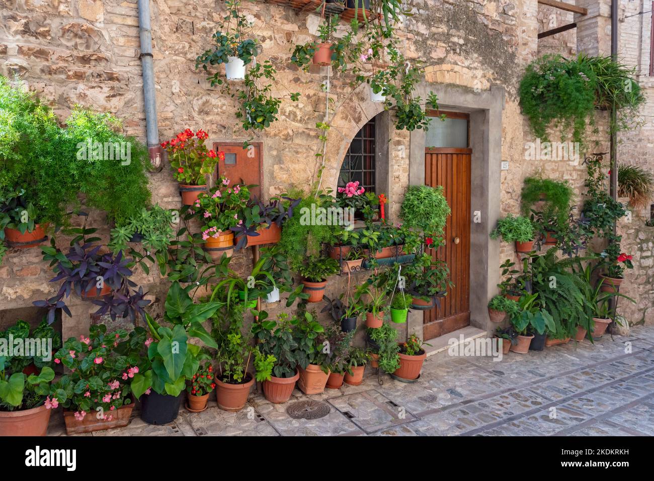 Altes Haus mit Tür und Blumentöpfen, Spello, Umbrien, Italien Stockfoto