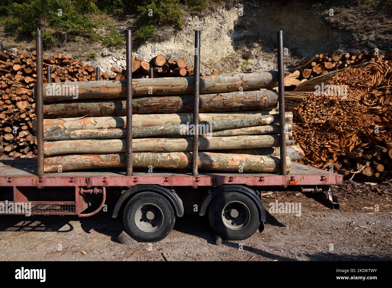 LKW, Anhänger oder LKW mit Holzschnitt, Holz- oder Baumstämmen Stockfoto