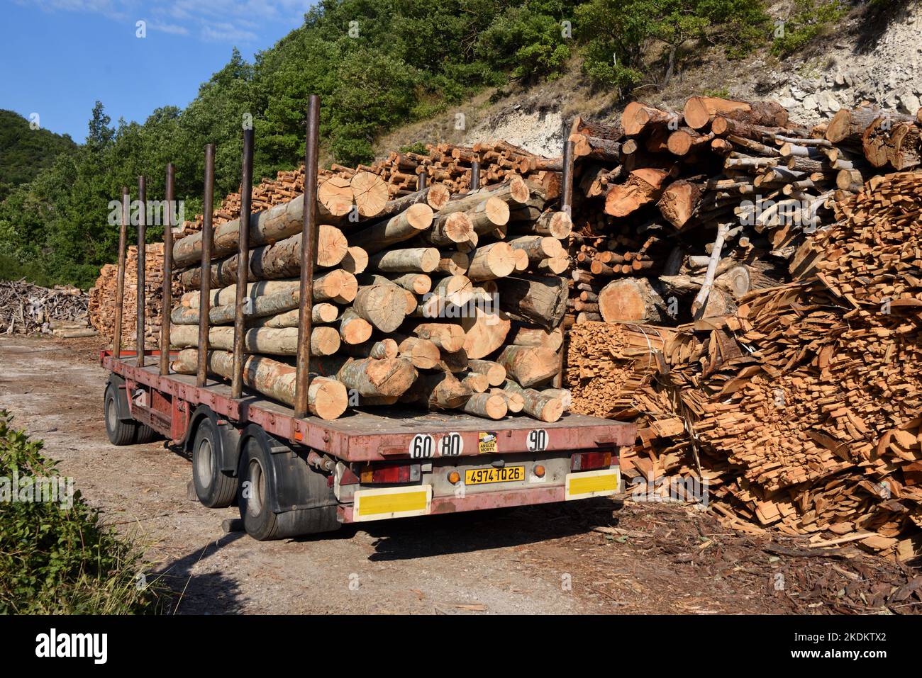 LKW, Anhänger oder LKW mit Holzschnitt, Holz- oder Baumstämmen Stockfoto