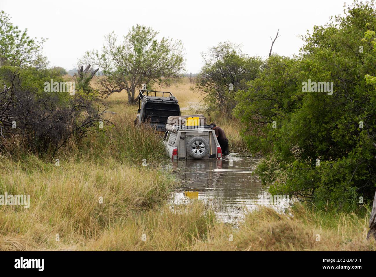 Jeep-Safari-Gefahren; Ein Tourist-Jeep, der von einem Fluss gezogen wird, wo ein Problem stecken geblieben ist; Moremi Wildreservat, Okavango Delta Botswana Afrika. Stockfoto