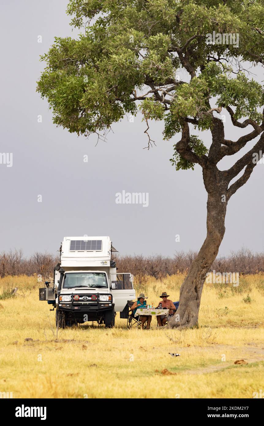 Africa Safari; Ein Paar auf einer Jeep-Selbstfahrt-Safari mit einem Kaffeepause unter einem Baum, Moremi Game Reserve, Okavango Delta, Botswana Afrika Stockfoto