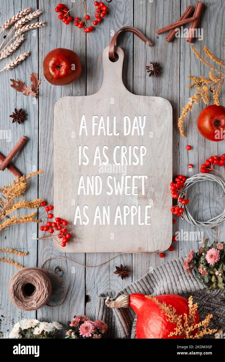 Text Ein Herbsttag ist so knackig und süß wie ein Apfel auf dem Schneidebrett mit roten Äpfeln. Orange Hokkaido-Kürbis, Vogelbeere, Äpfel, Zimt. Herbst Stockfoto