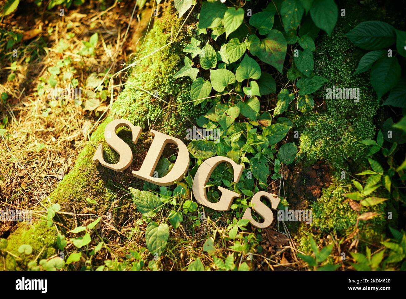 SDGs-Bild Stockfoto