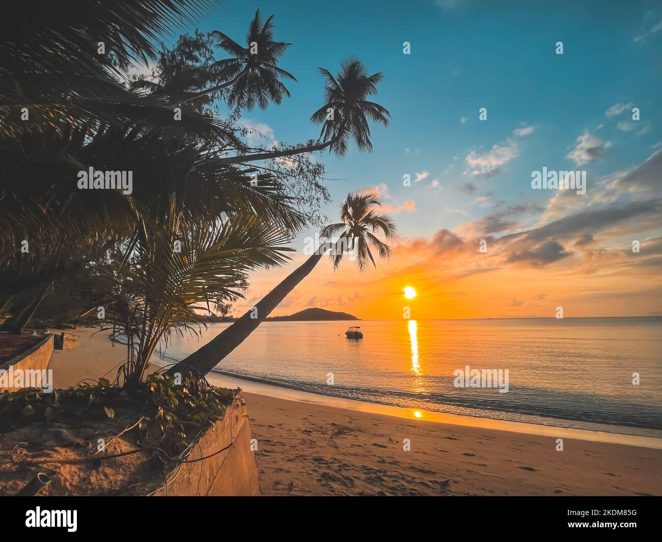 Goldene tropische Insel Sonnenuntergangslandschaft, Palmen Silhouette vor hellen bunten Himmel. Sandstrand mit Kokosnussbaumbästen und orangefarbenem Sonnenaufgangshimmel über dem Meer. Reisen, Urlaub, Urlaub, Entspannung Stockfoto